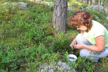 Photo 40