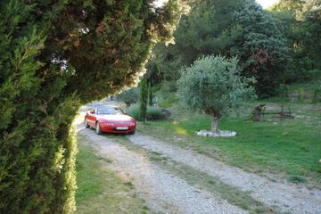 Photo 32