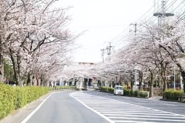 Photo 41