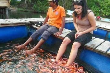 Ecotours