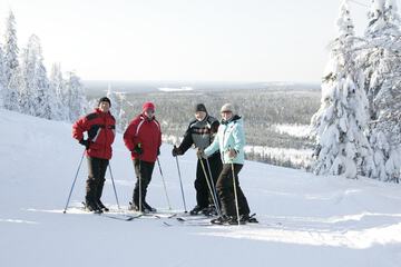 Skiing