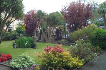 Photo 41