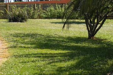 Photo 48
