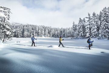 Snowshoeing