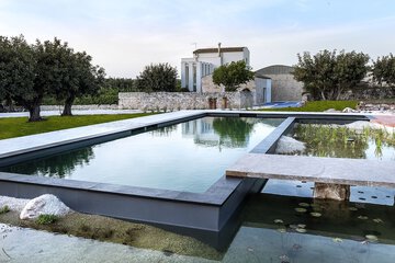 Natural pool