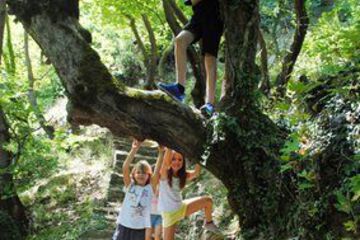 Childrens Activities