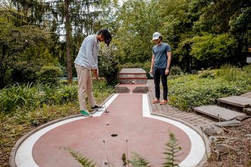 Mini-golf