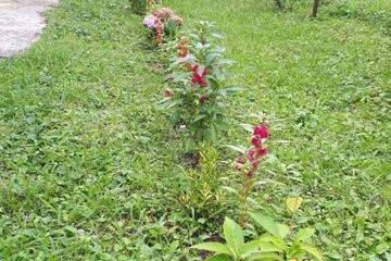 Photo 21