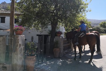 Horseback riding