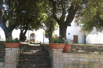 Photo 48