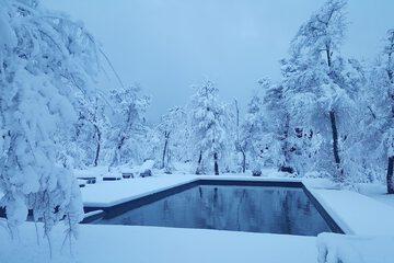 Natural pool