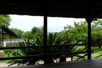 Photo 44