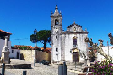 Photo 24