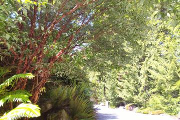 Photo 47