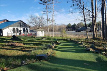 Mini-golf
