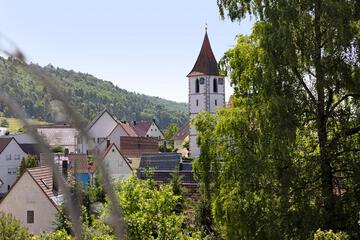Photo 26