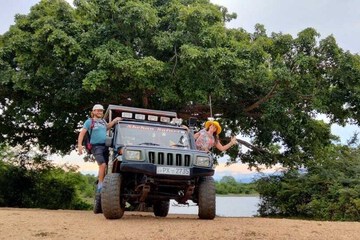 Safari