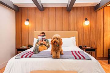 Pet-friendly