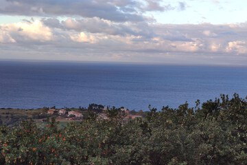 Land view from property