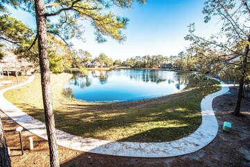 Lake view