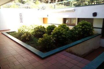 Terrace or Patio