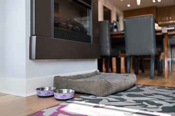 Pet-friendly amenities