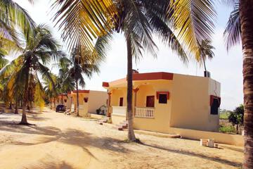 Photo 26