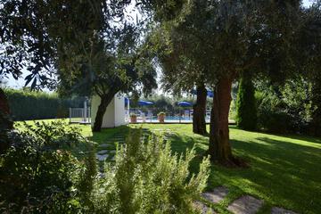 Photo 29