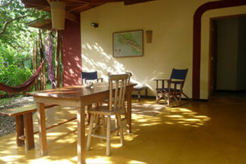 Terrace or Patio