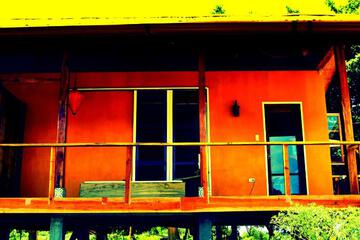Photo 41