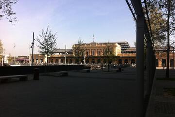 Photo 21