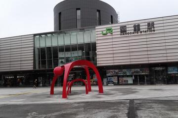 Photo 16