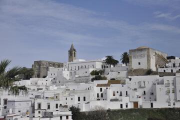Photo 43