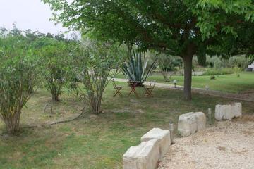 Photo 41