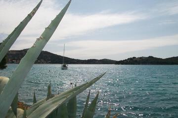 Photo 45