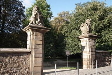 Photo 24