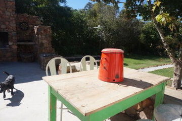 Terrace or Patio