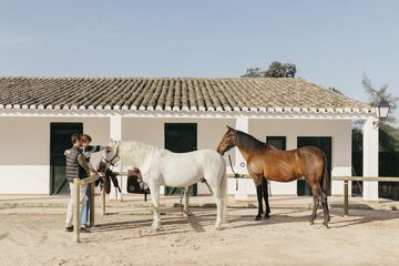 Horseback riding