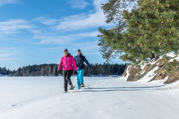 Snowshoeing