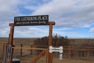 Pet-friendly amenities