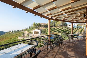 Winery