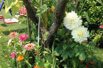 Photo 24