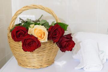 Photo 33