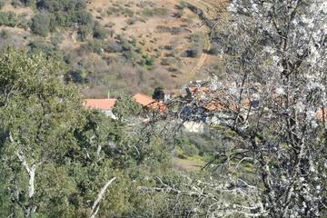 Photo 24