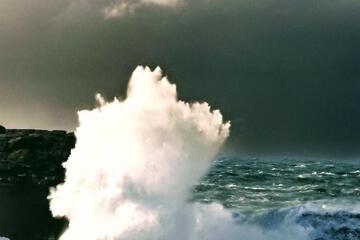 Photo 41