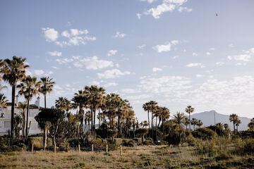 Land view from property