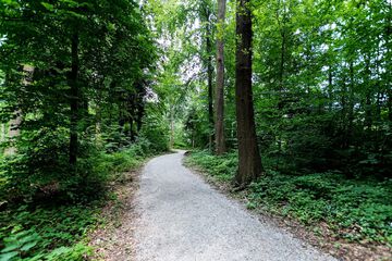 Hiking