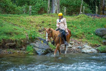 Horseback riding