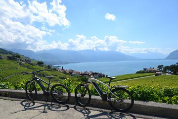 Bicycling