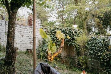 Photo 45
